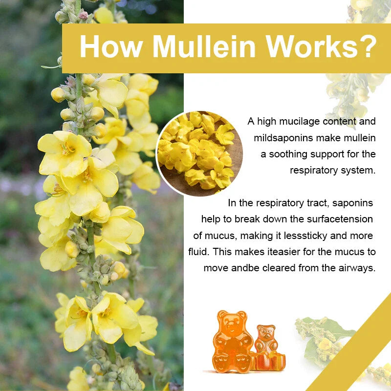 10:1 Mullein Leaf Extract Gummies for Lung Cleanse, Extra Strength 10000 MG US