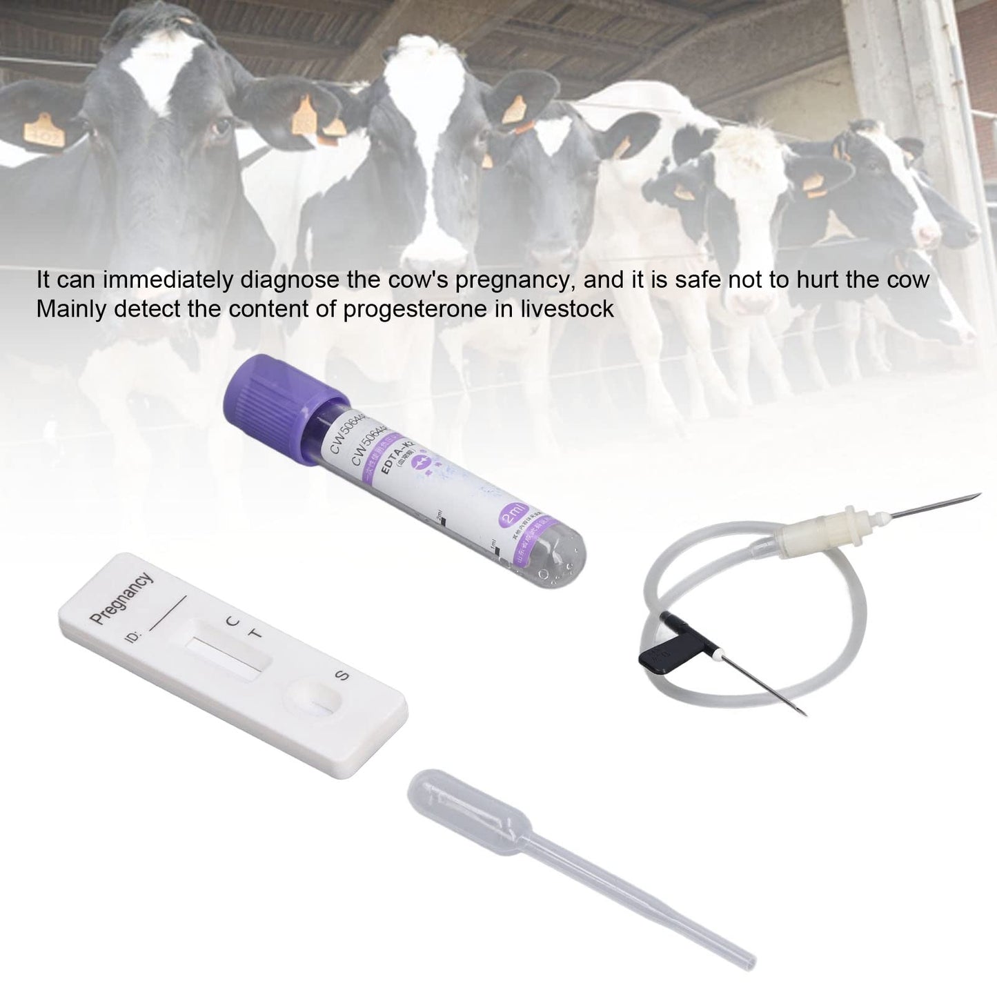 Cow Pregnancy Test, Bovine Cow Rapid Early Pregnancy Test Kit Pregnancy Test Card Livestock Pregnant Testing for Dairy Cow Livestock
