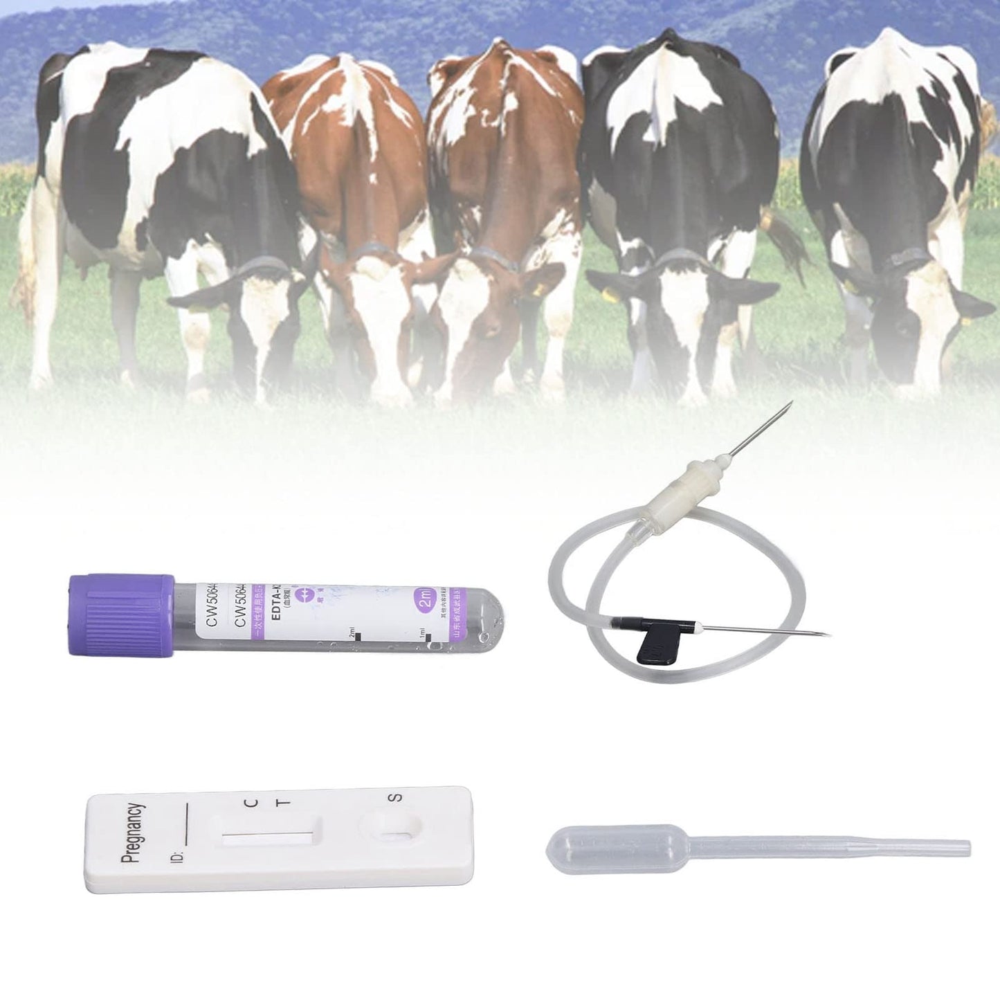 Cow Pregnancy Test, Bovine Cow Rapid Early Pregnancy Test Kit Pregnancy Test Card Livestock Pregnant Testing for Dairy Cow Livestock
