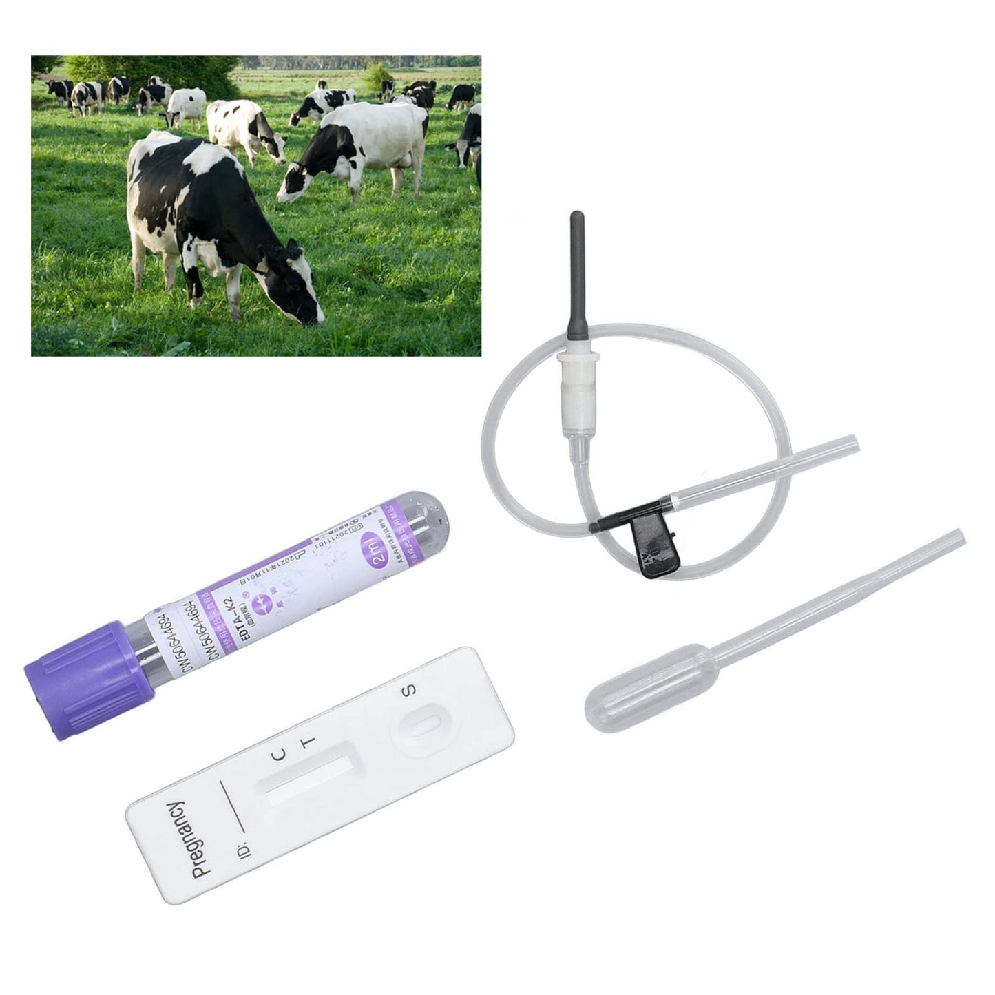 Cow Pregnancy Test, Bovine Cow Rapid Early Pregnancy Test Kit Pregnancy Test Card Livestock Pregnant Testing for Dairy Cow Livestock