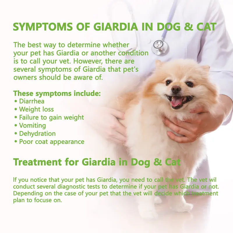 10 Pcs GIA - Canine & Feline GIARDIA Rapid Home Health Test Kit for Dogs & Cats